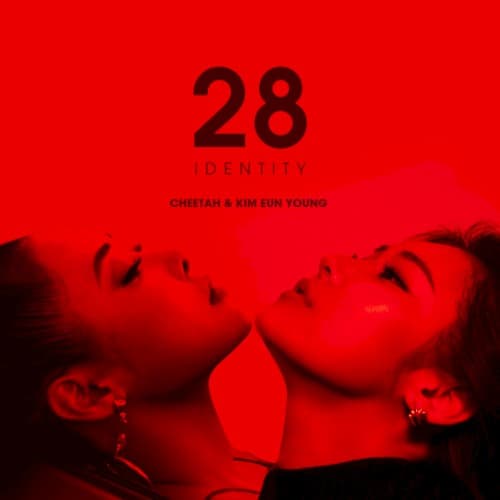28 IDENTITY cover
