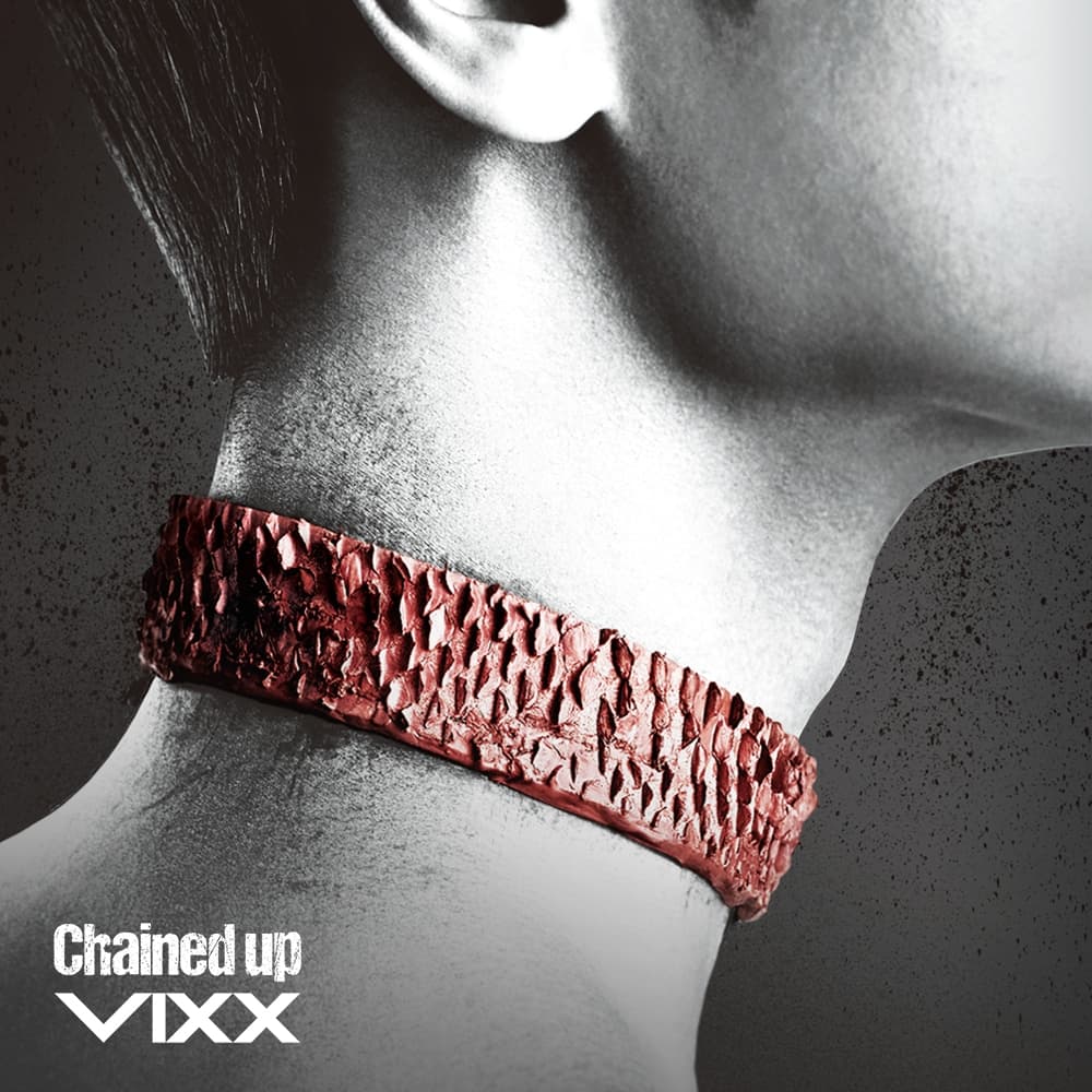 Chained up cover