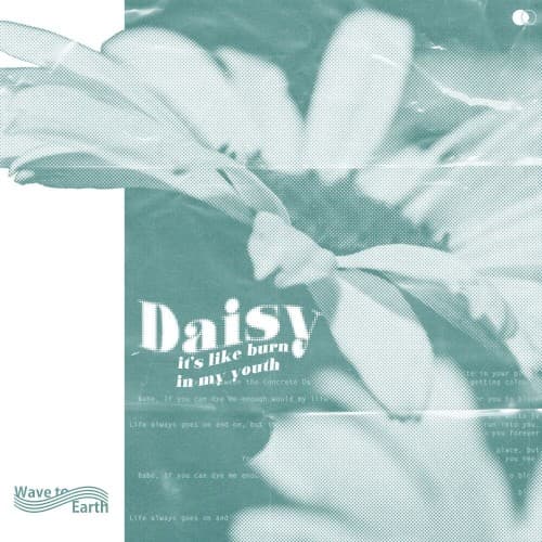 daisy. cover