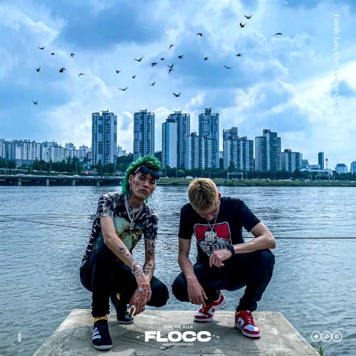 FLOCC cover