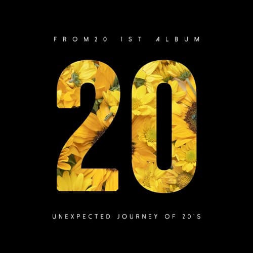 20 cover
