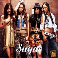 Secret cover