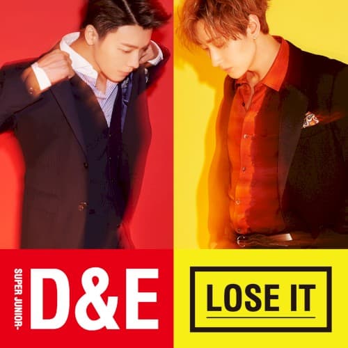 LOSE IT cover
