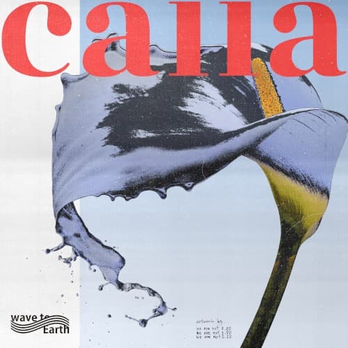 calla cover