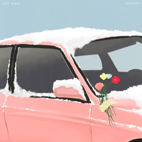 Strawberry cover