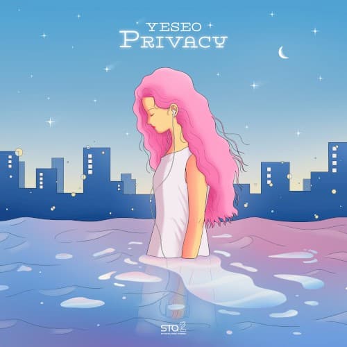 Privacy cover