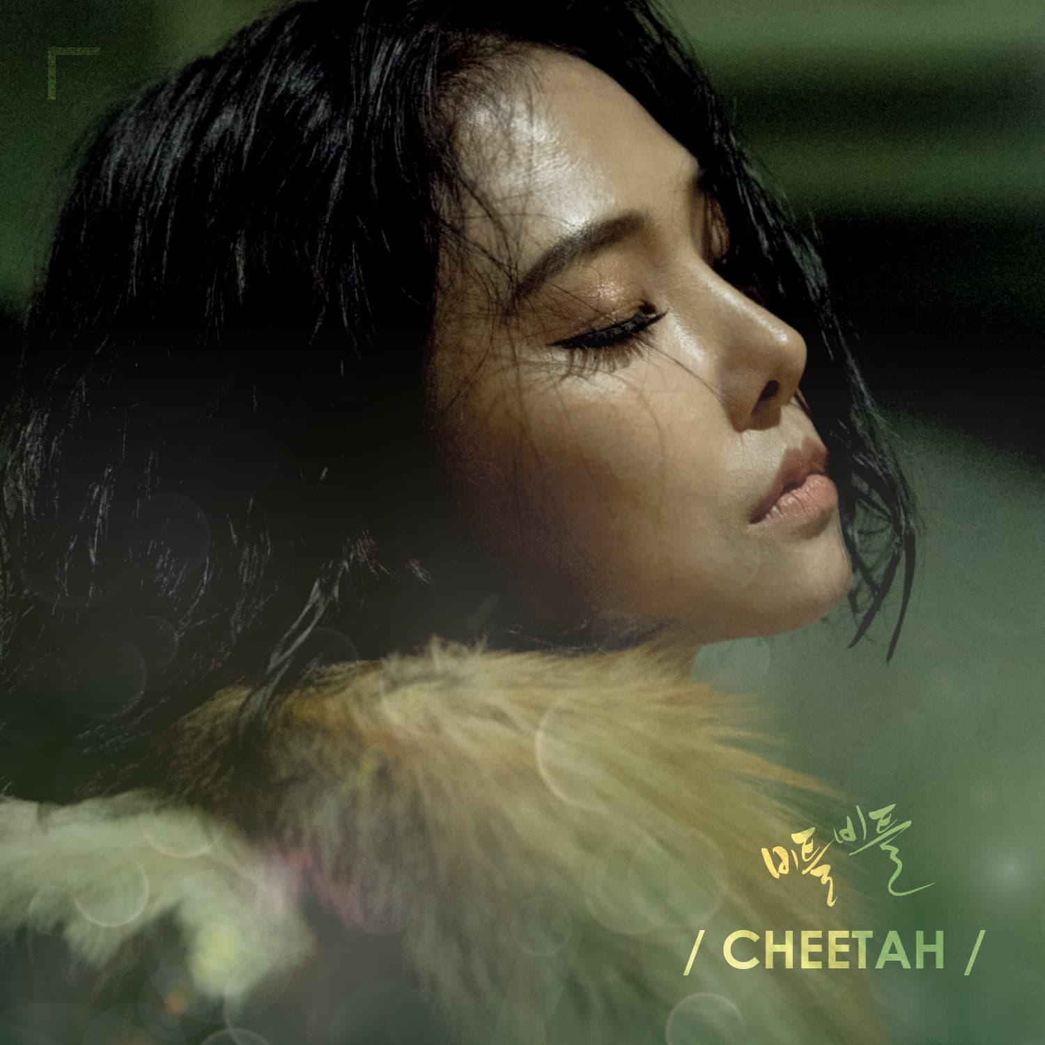 비틀비틀 cover