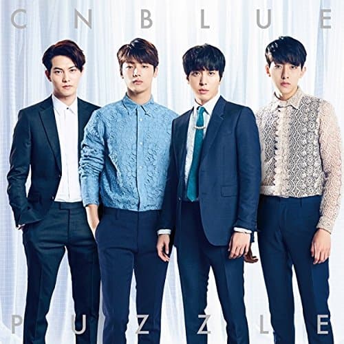 Puzzle cover