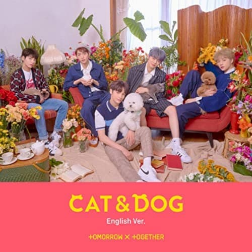 Cat & Dog cover