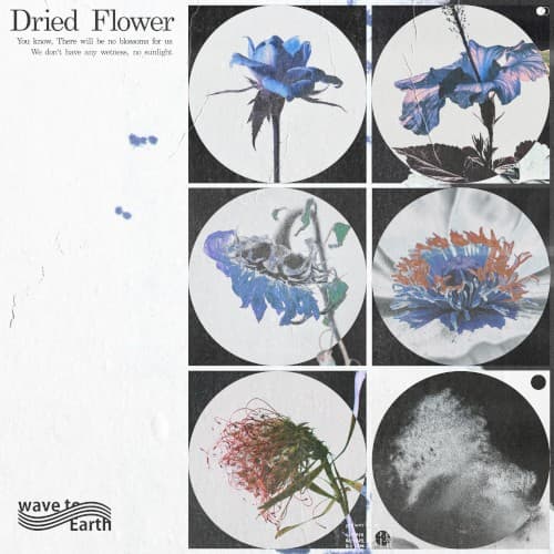 dried flower cover