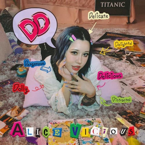 DD cover