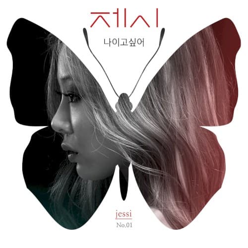 나이고 싶어 cover