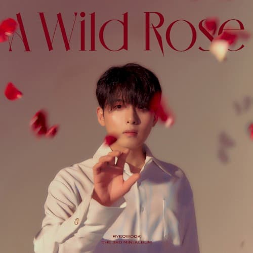 A Wild Rose cover