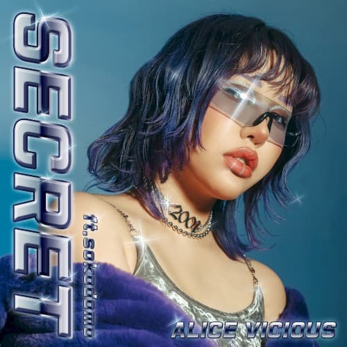 Secret cover