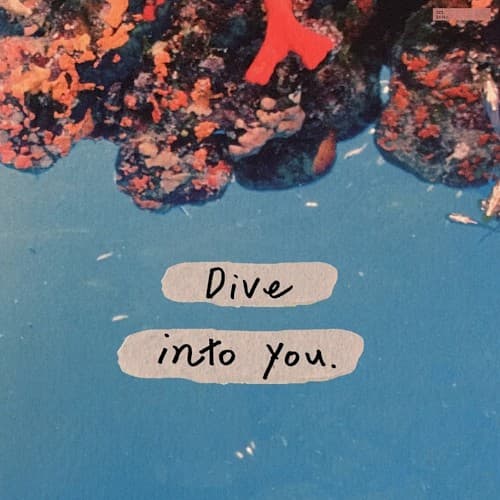 Dive cover