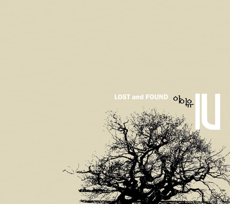 LOST and FOUND cover