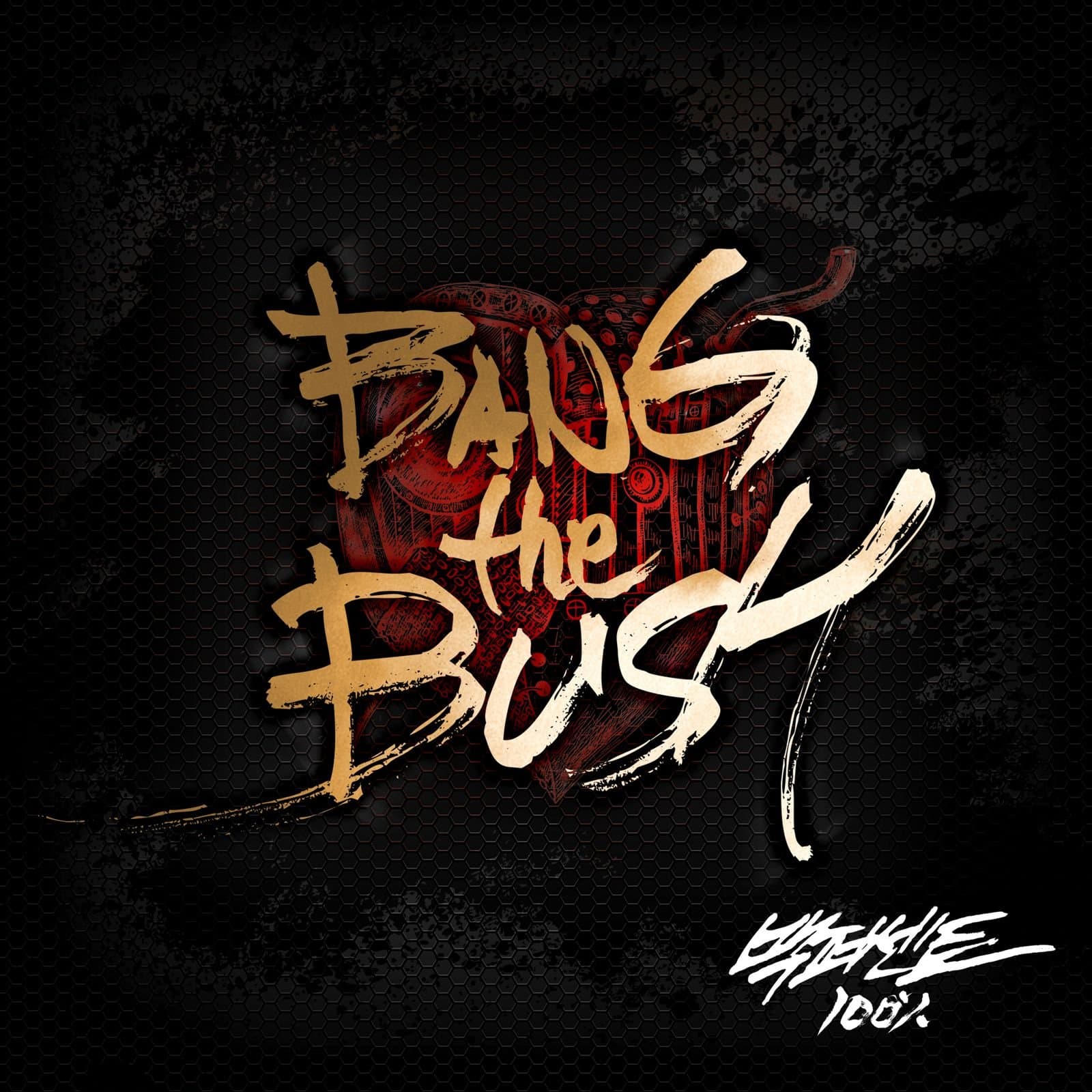 BANG The BUSH cover