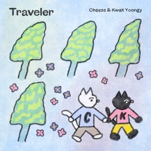 Traveler cover