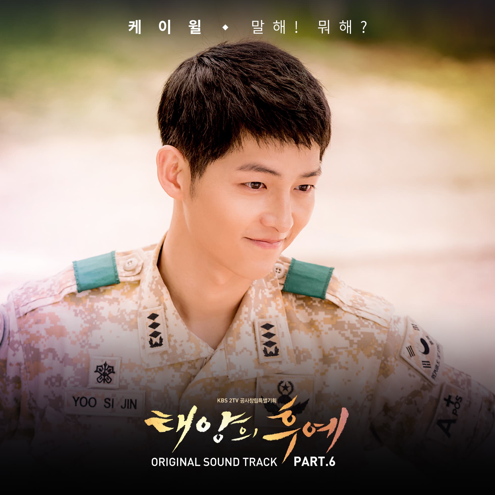 태양의 후예 OST Part.6 cover