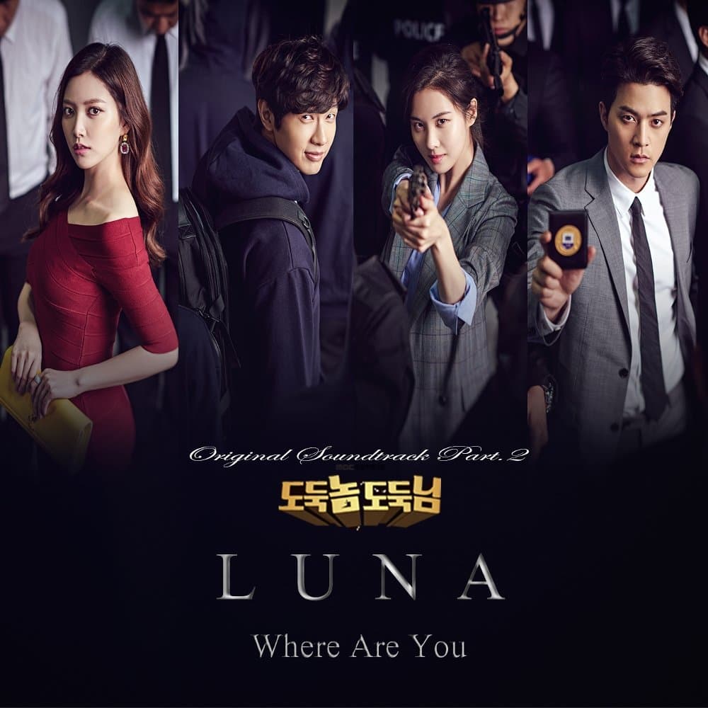 도둑놈 도둑님 OST Part.2 cover