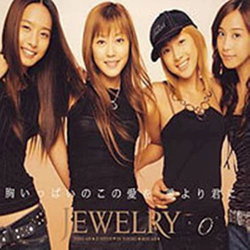 胸いっぱいのこの愛を 誰より君に cover