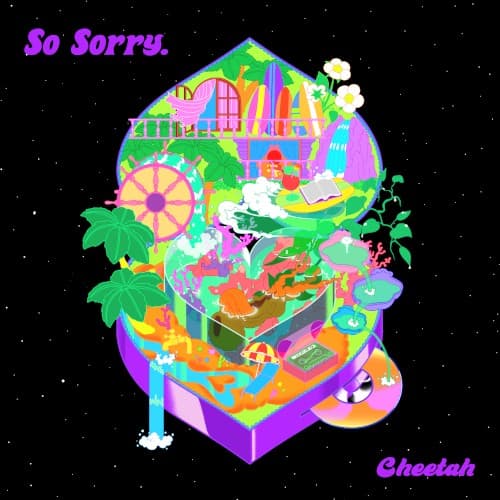 So Sorry cover