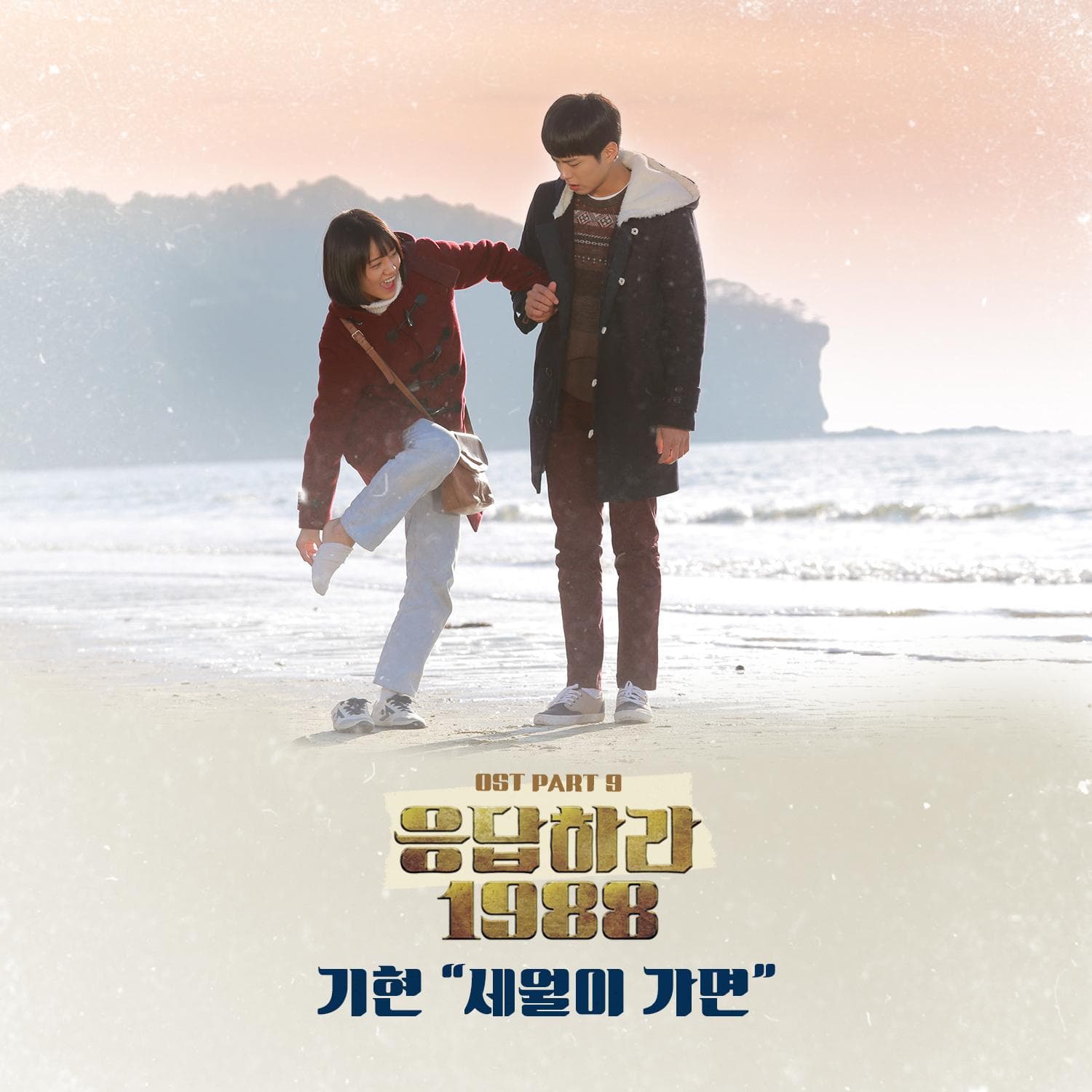 응답하라 1988 OST Part.9 cover