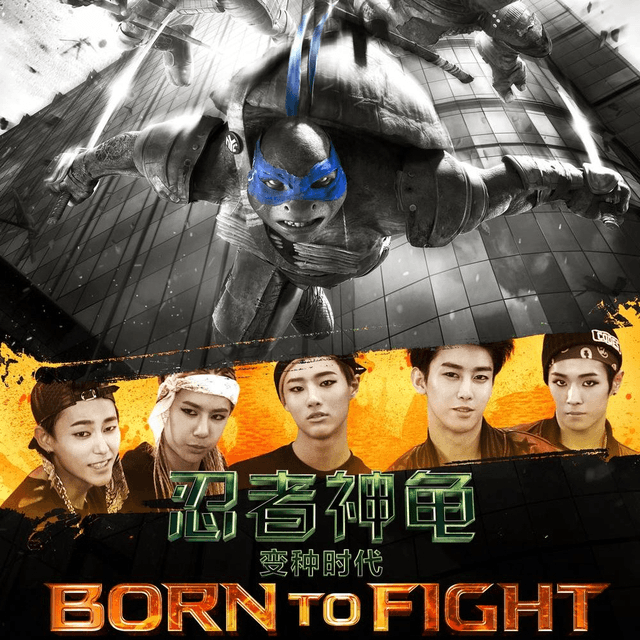 Born To Fight cover