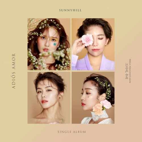 Adios Amor cover