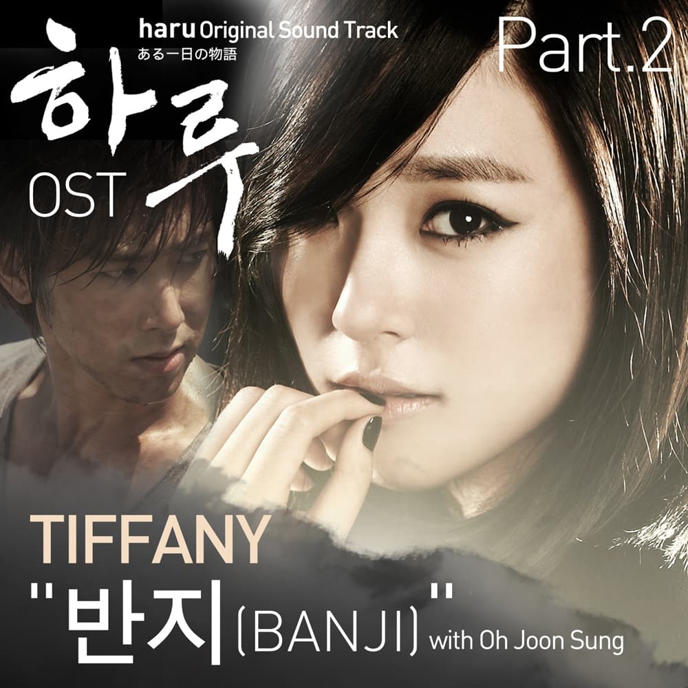 하루 OST Part.2 cover