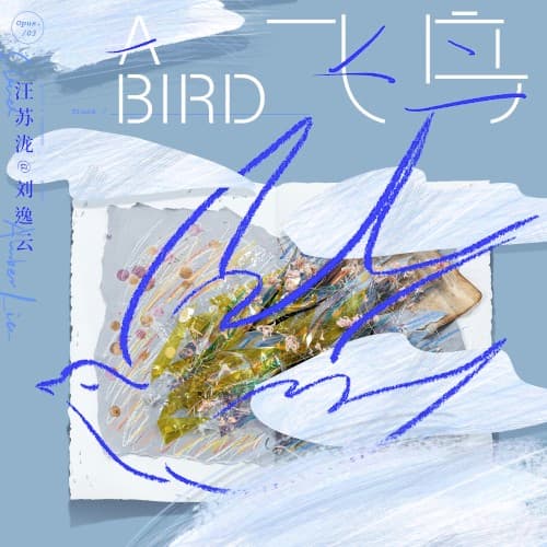 飞鸟 cover
