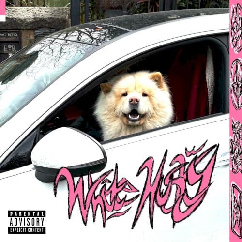 white husky cover