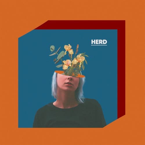hivill cover