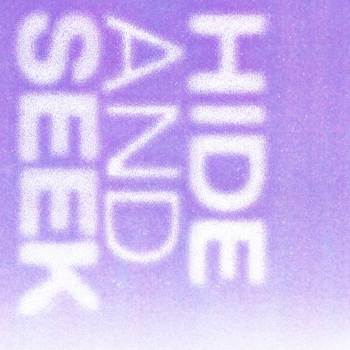 HIDE AND SEEK cover