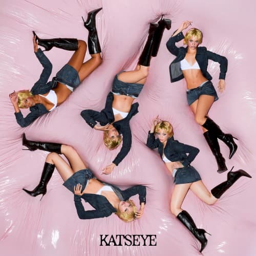 WILD cover