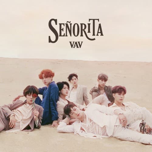 Señorita cover