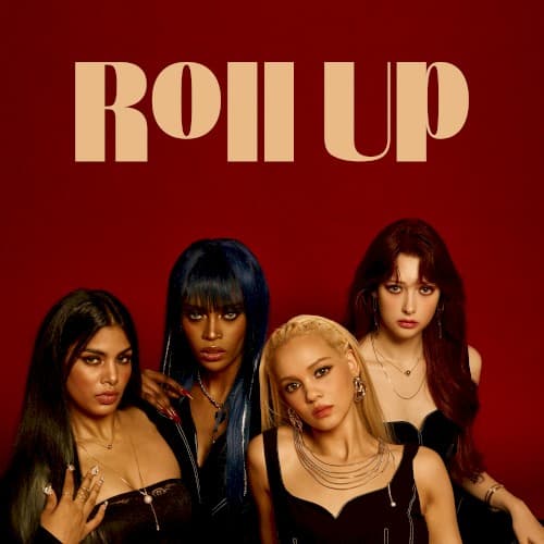 Roll Up cover