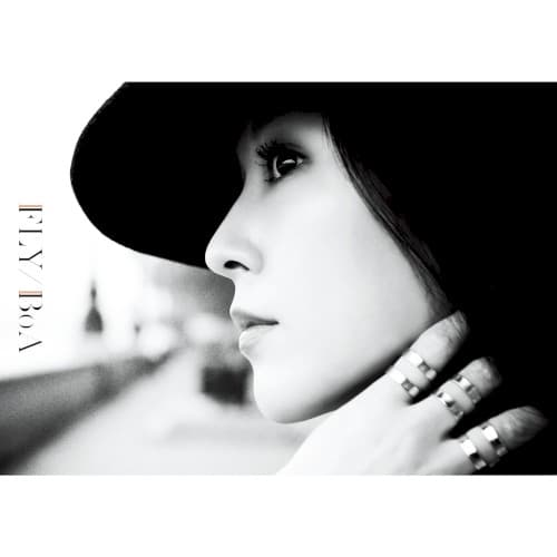 FLY cover
