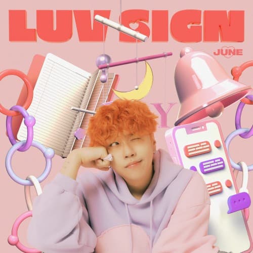 LUV SIGN cover