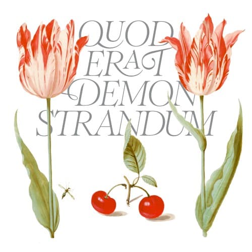 Q.E.D cover