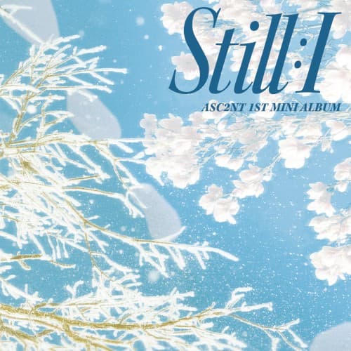 STILL : I cover