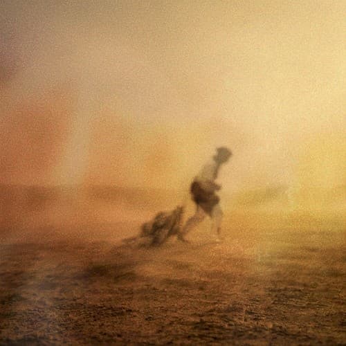 Desert Wanderer cover