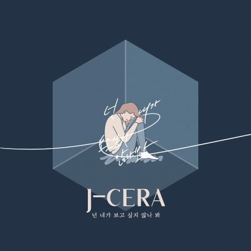 넌 내가 보고 싶지 않나 봐 cover