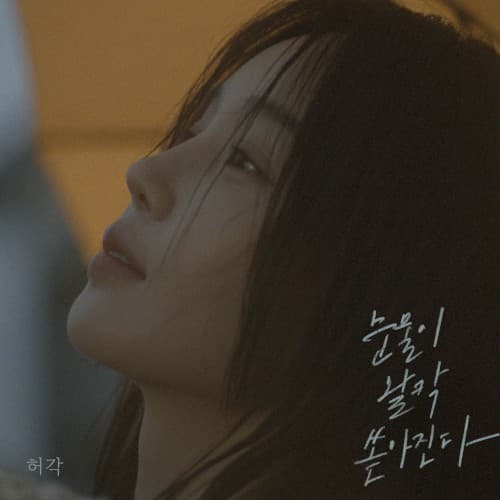 눈물이 왈칵 쏟아진다 cover