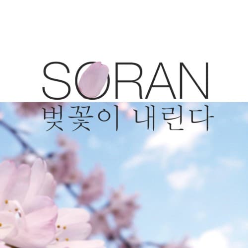 벚꽃이 내린다 cover