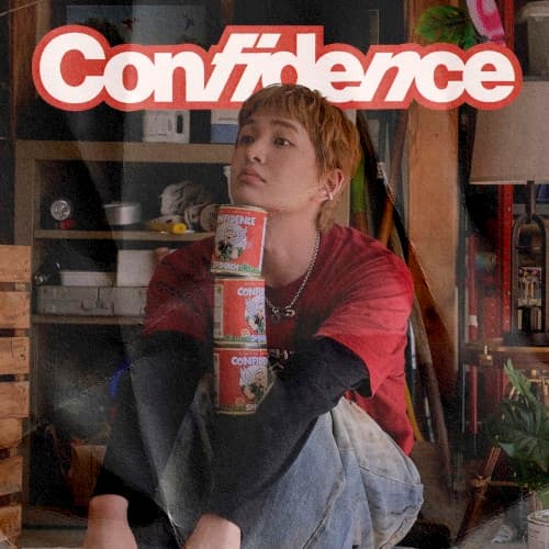 Confidence cover