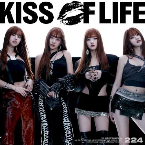 224 cover