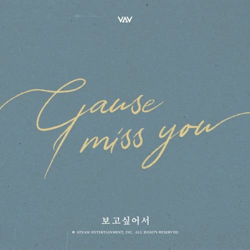 Cause I Miss You cover