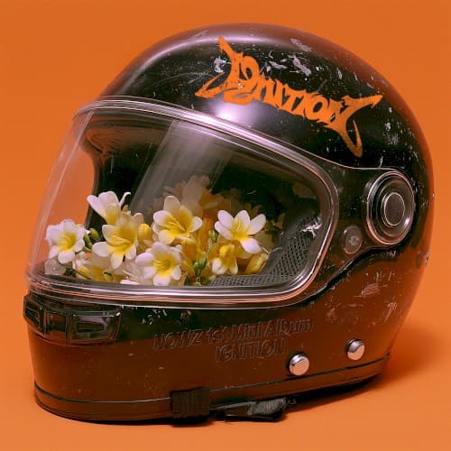 IGNITION cover