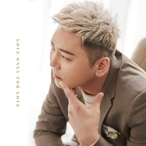 밤하늘의 별을 13 cover